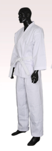 Order professional standard competition karate suit Manufacture child adult karate suit with belt karate suit garment factory 35% cotton 65% polyester karate price  SKF009